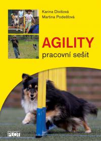 Agility - Pracovní sešit 